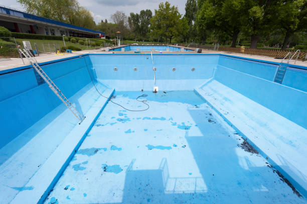 Best Water damage contractors near me  in Clifton, AZ