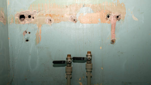 Best Residential water damage restoration  in Clifton, AZ
