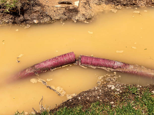 Best Emergency water damage restoration  in Clifton, AZ