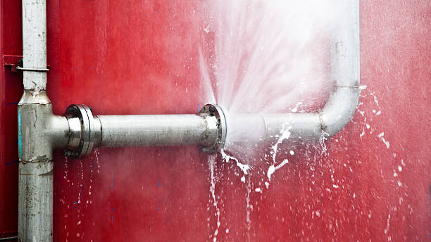 Best Water damage cleanup near me  in Clifton, AZ